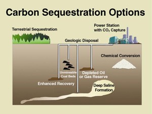 coal emission sequestration