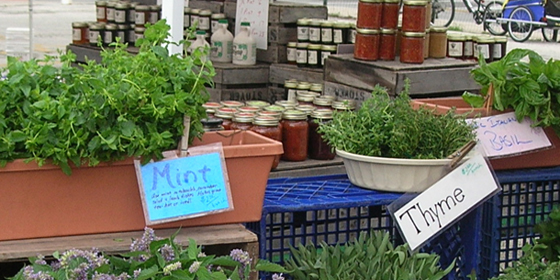 herbs for sale