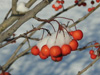 snow on crabapple cluster